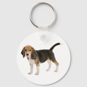 Love Beagle Puppy Dog Customised Key Chain