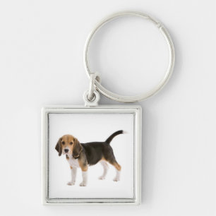 Love Beagle Puppy Dog Customised Key Chain