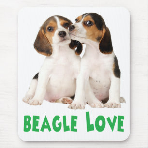 Love Beagle Puppy Dog Green Mouse Pad