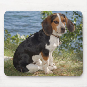 Love Beagle Puppy Dog Mouse Pad