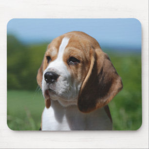 Love Beagle Puppy Dog Mouse Pad