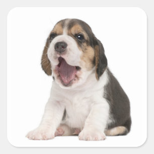 Love Beagle Puppy Dog Sticker / Seal