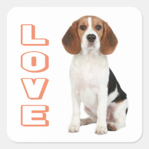 Love Beagle Puppy Dog Sticker / Seal