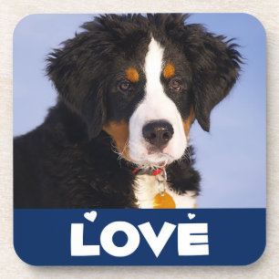 Love Bernese Mountain Puppy Dog Coaster Set