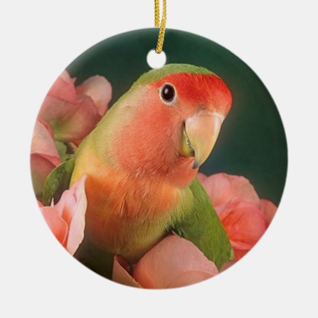 Love bird Christmas ornament (Front)