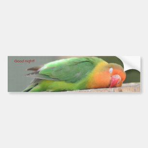 Love bird sleeping bumper sticker