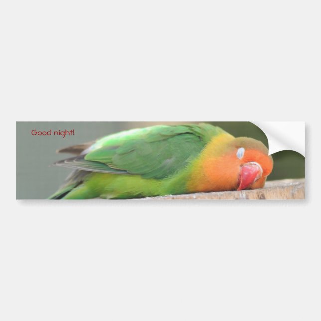 Love bird sleeping bumper sticker (Front)