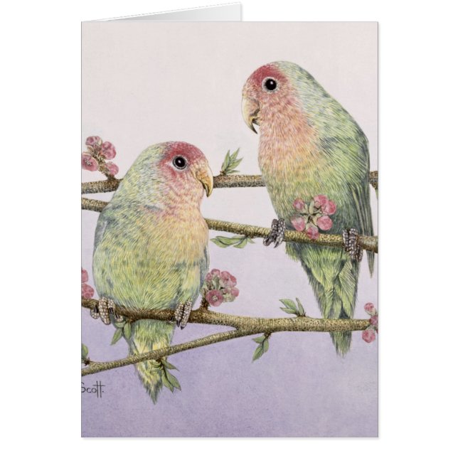 Love Birds (Front)