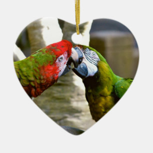 Love Birds Kissing Macaw Parrots Ornament