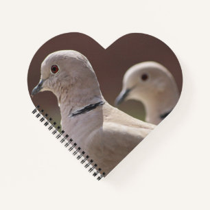 Love Birds Notebook