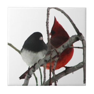 Love Birds Odd Couple Tile