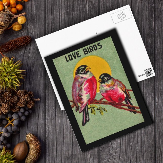 Love Birds Postcard (Two pretty Love Birds dark pink on branch in front of orange sun on green postcard with black border)