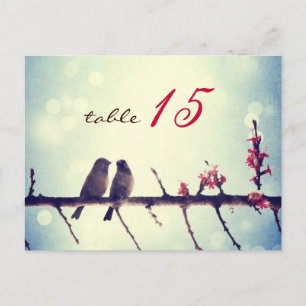 Love birds story 2 postcard