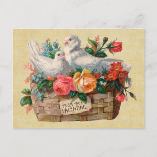 Love Birds Vintage Postcard