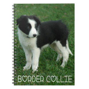Love Black & White Border Collie Puppy Dog Journal