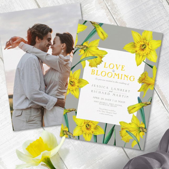 Love blooming yellow daffodil photo spring wedding invitation (Creator Uploaded)