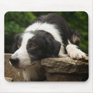 Love Border Collie Puppy Dog Mousepad