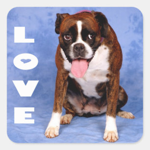 Love Boxer Puppy Dog Blue Sticker / Seal