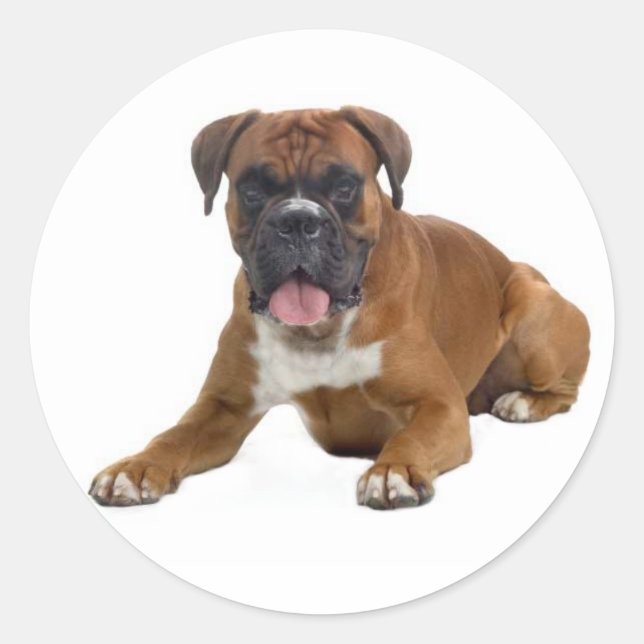 Love Boxer Puppy Dog Greeting Sticker (Front)