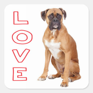 Love Boxer Puppy Dog Greeting Sticker