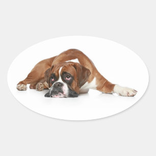 Love Boxer Puppy Dog Greeting Sticker