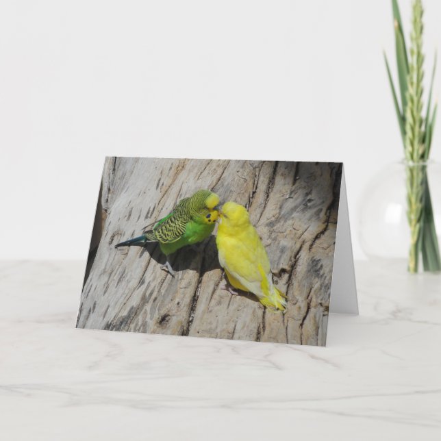 Love Budgies Card (Front)