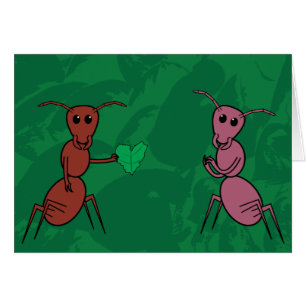 Love Bug
