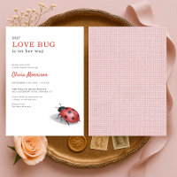 Love Bug Ladybug Gingham Baby Shower
