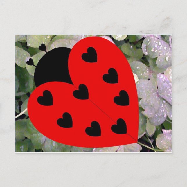 Love Bug Postcard (Front)