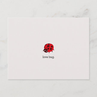 Love Bug Postcard