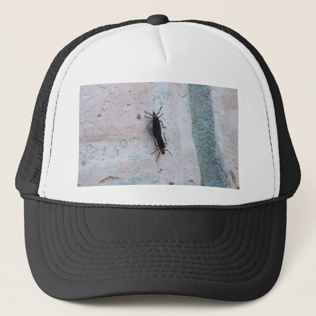 Love Bugs Trucker Hat (Front)