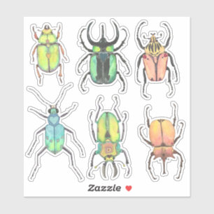 Love Bugs Watercolor Beetles