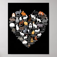 Love Bunnies Funny Rabbit Heart