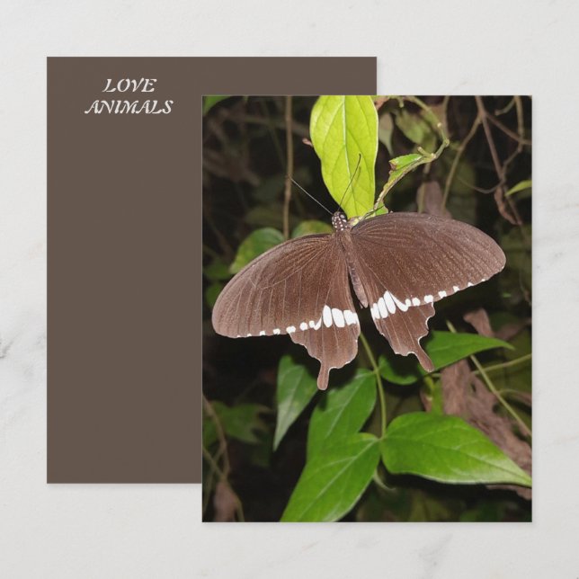 LOVE BUTTERFLY GIFT FOR ANYONE  CARD (Front/Back)