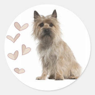 Love Cairn Terrier Puppy Dog Greeting Stickers