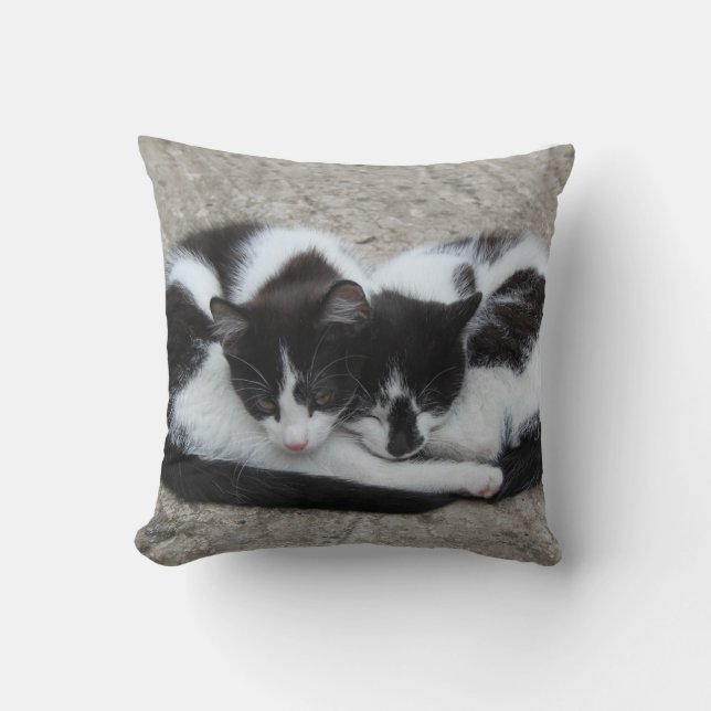 Love Cats Pillow (Front)