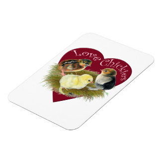 Love Chickies Magnet