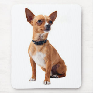 Love Chihuahua Puppy Dog Canine Mouse Pad