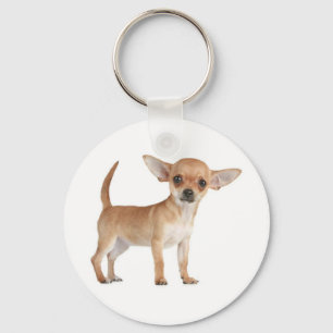 Love Chihuahua Puppy Dog Key Chain