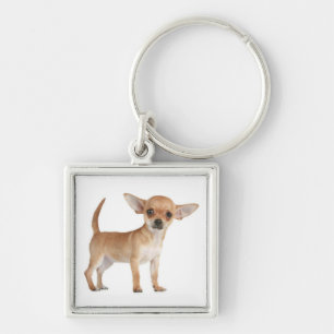 Love Chihuahua Puppy Dog Key Chain