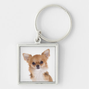 Love Chihuahua Puppy Dog Keychain