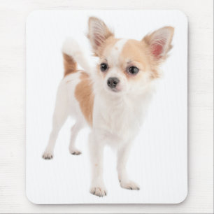 Love Chihuahua Puppy Dog Mouse Pad