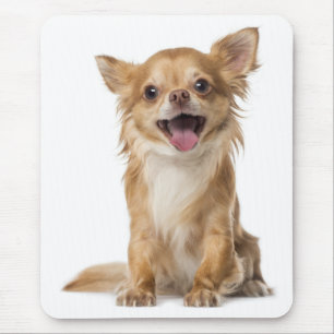Love Chihuahua Puppy Dog Mouse Pad