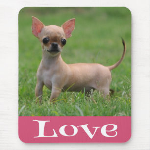 Love Chihuahua Puppy Dog Mouse Pad