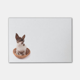 Love Chihuahua Puppy Dog Post IT Sticky Notes