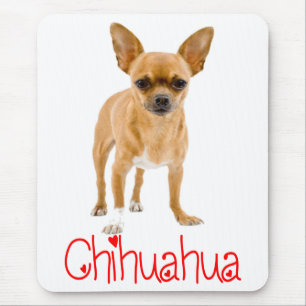 Love Chihuahua Puppy Dog Red Love Mouse Pad