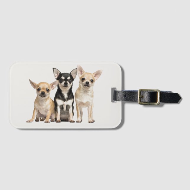 Love Chihuahuas Luggage Tag (Front Horizontal)