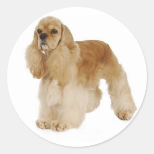 Love Cocker Spaniel Puppy Dog Stickers
