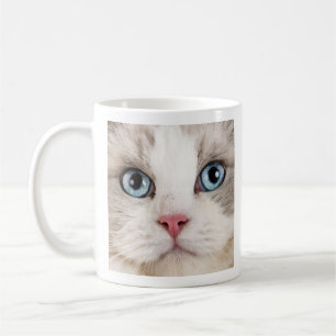 Love Coffee and Cats Photo Mug