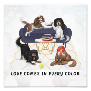 Love Comes in Every Colour   Cavalier King Charles Photo Print